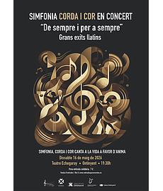 Simfonia Corda i Cord en Concert
